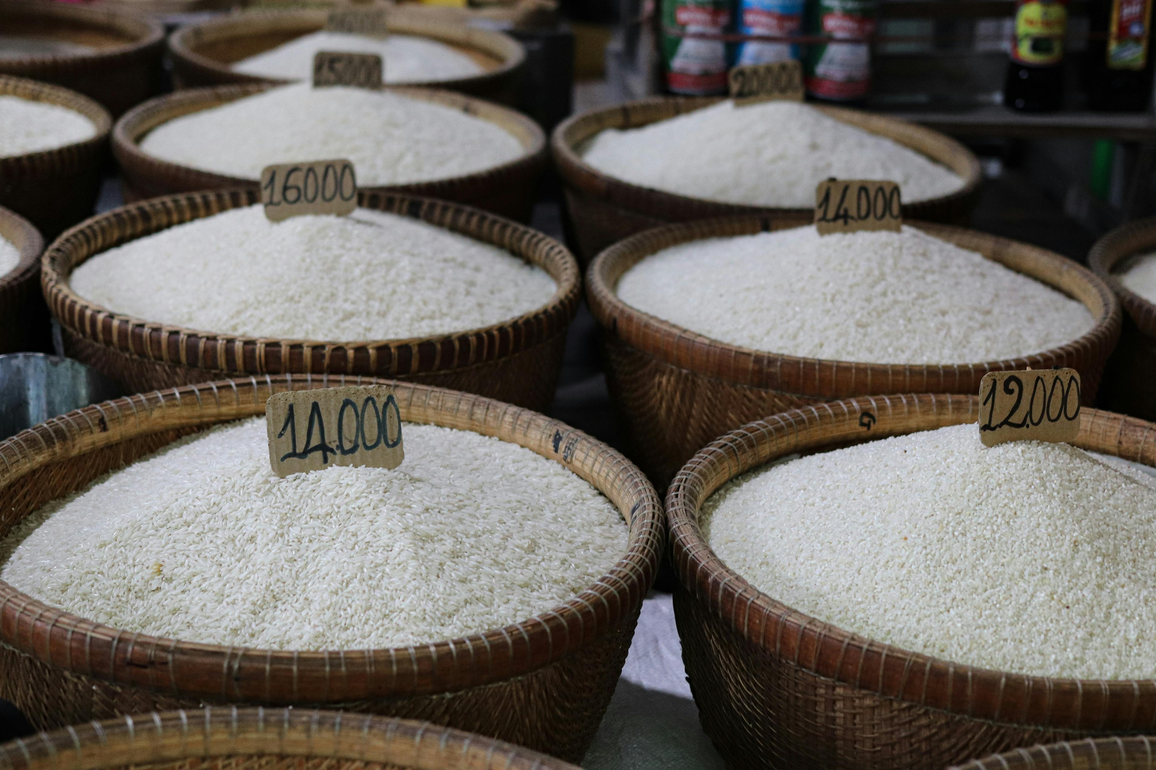 Analysis of Ricing Rice Prices